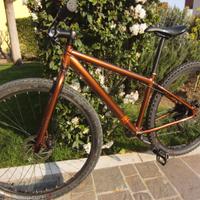 bicicletta MTB