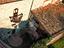 Immagine 25