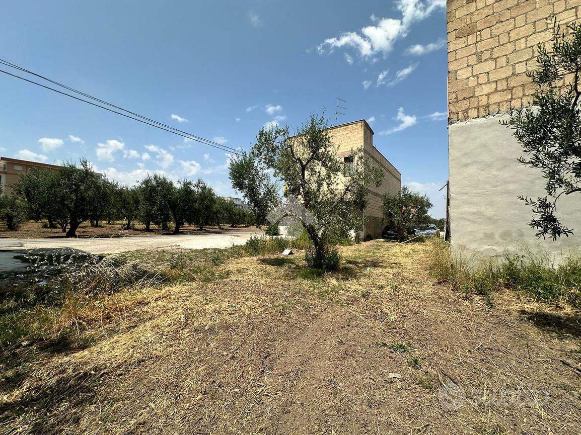 TERRENO A CERIGNOLA - Altro