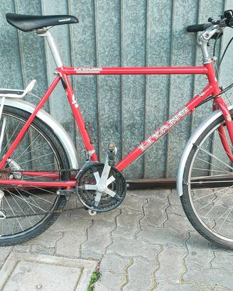 MTB DA 26 IN ACCIAIO COLUMBUL (58X50)