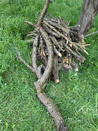 Legna da ardere pero