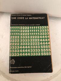 Che cos'è la matematica