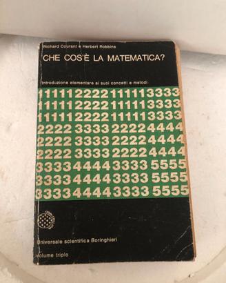 Che cos'è la matematica