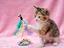 Immagine 5