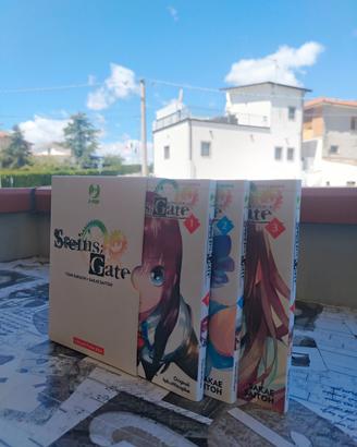 Steins Gate