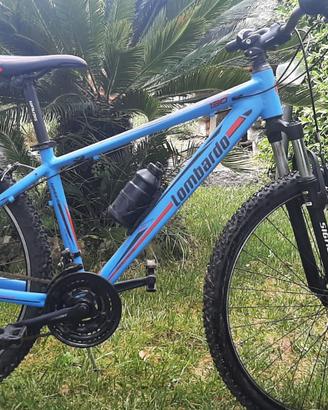 Bicicletta Lombardo