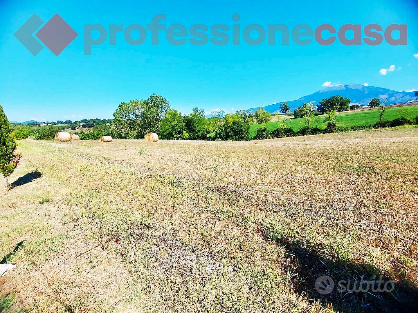 Terreno agricolo - Vista 5