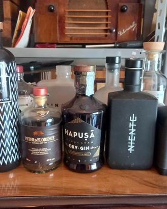 Bottiglie vuote di gin 