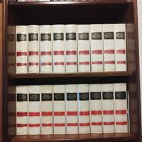 Grande Dizionario Della Lingua Italiana-21 volumi