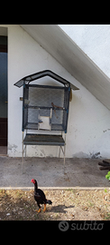 Gabbia con cocorite