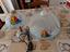 Immagine 2
