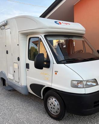 CAMPER COMPATTO - SOLO 5,40m come un VAN
