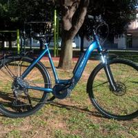 E-bike Velo de Ville AEB800 Allround