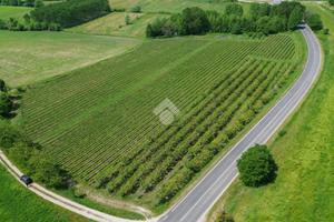 TER. AGRICOLO A CAVRIANA