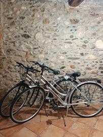 Coppia di Biciclette 