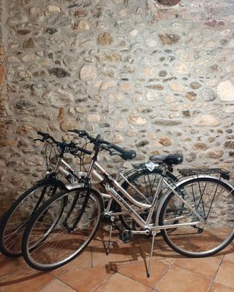 Coppia di Biciclette 