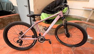 Mountain bike