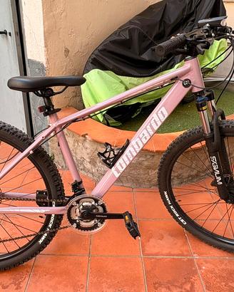 Mountain bike