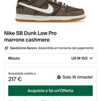 Nike sb dunk pasley