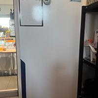 Frigo professionale