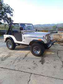 Jeep cj5 Silver Anniversary