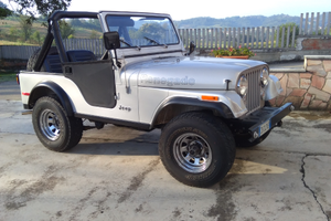 Jeep cj5 Silver Anniversary