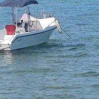 Fratelli Longo Lady 5.50