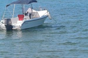 Fratelli Longo Lady 5.50