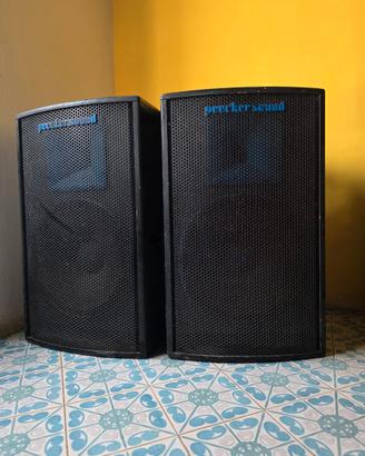 Impianto audio 1000 Watt PEECKER SOUND