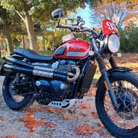Triumph Street Scrambler 900