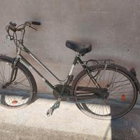 bici chesini donna