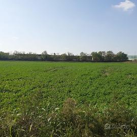 Terreno agricolo a Montirone