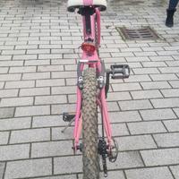 Mountain Bike donna