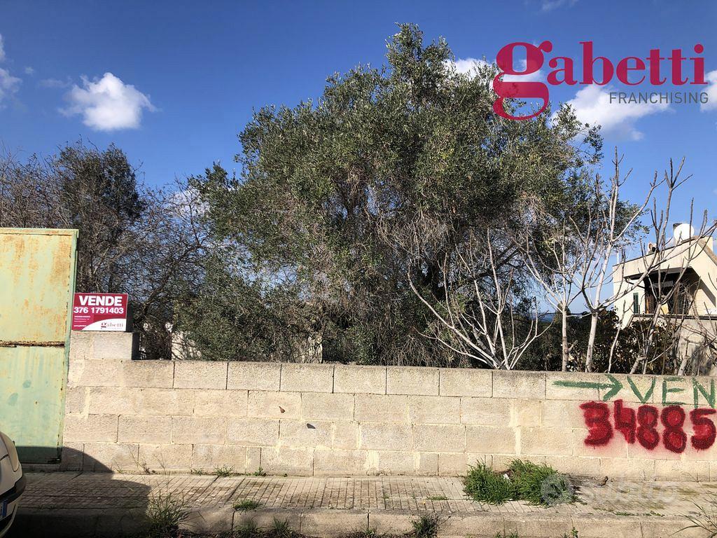 Terreno Agricolo Gallipoli [Cod. rif 3121450VRG] - Vista 3