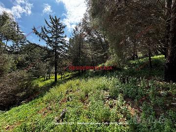 Terreno, Castellammare - Loggia, Palermo.