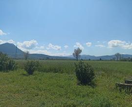 Terreno agricolo Paestum