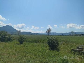 Terreno agricolo Paestum