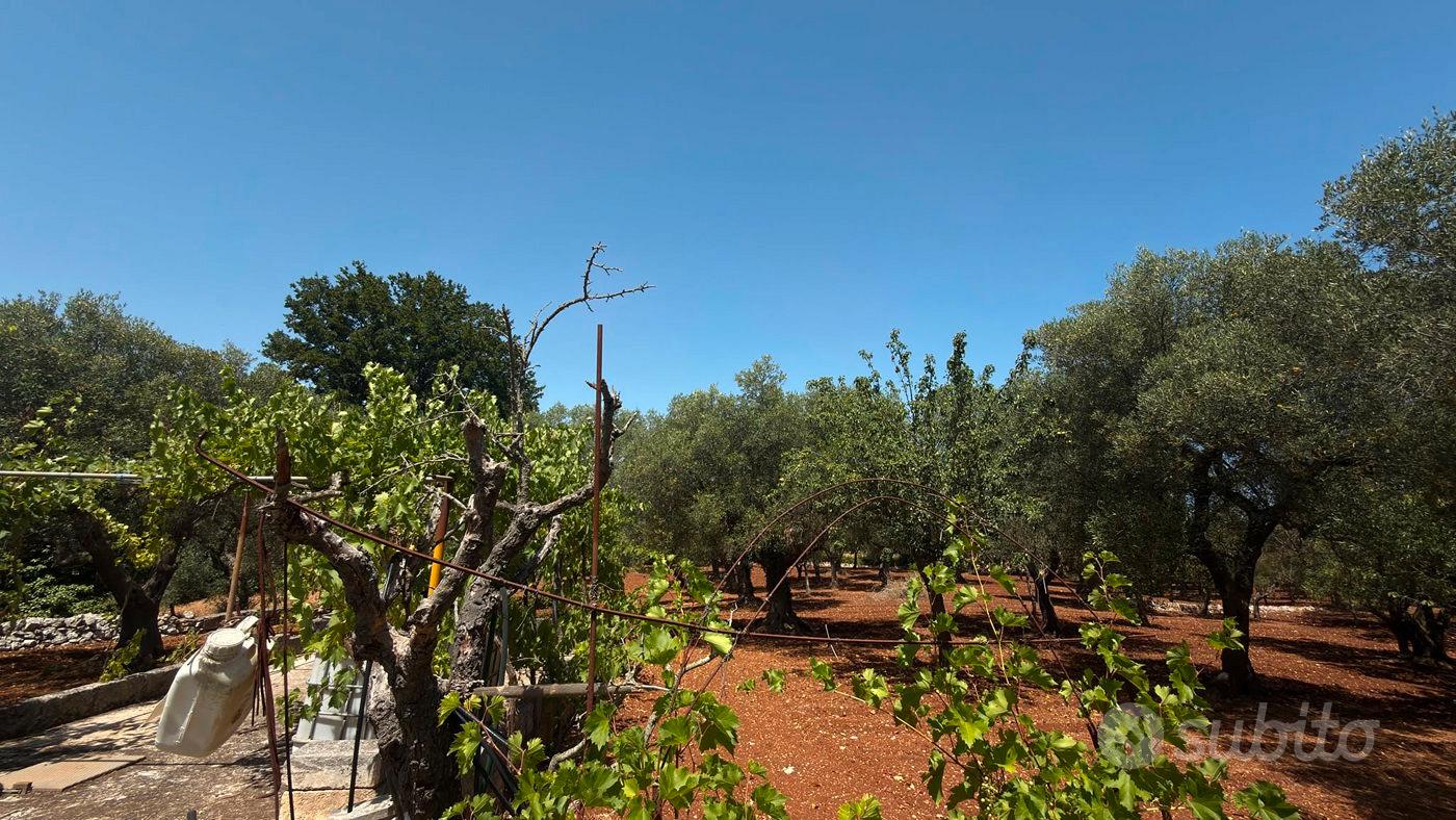 Terreno Residenziale Monopoli - Vista 4