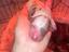 Immagine 6