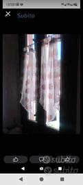 tendine