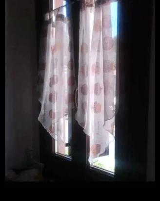 tendine