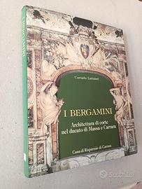 I BERGAMINI Architettura corte ducato arte barocca