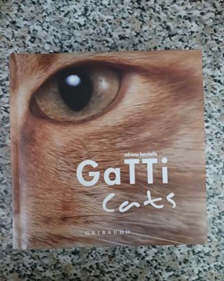 gatti (cats) - adriano bacchella