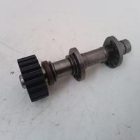 DUCATI MULTISTRADA 950 S 18-19 Albero a camme este