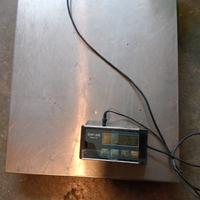 Bilancia EHP-300