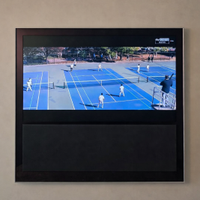 Televisore TV BEO Bang & Olufsen Beovision 10 40"