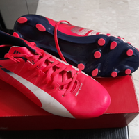 Puma evo speed 5