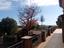 Immagine 8