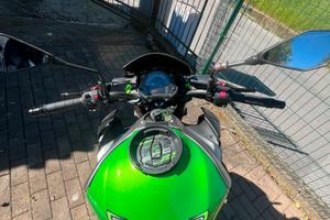 Kawasaki z900 performance 2019