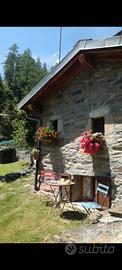 Piccola baita per vacanze in montagna